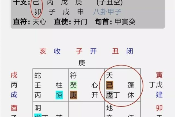 奇门遁甲看八字排什么盘