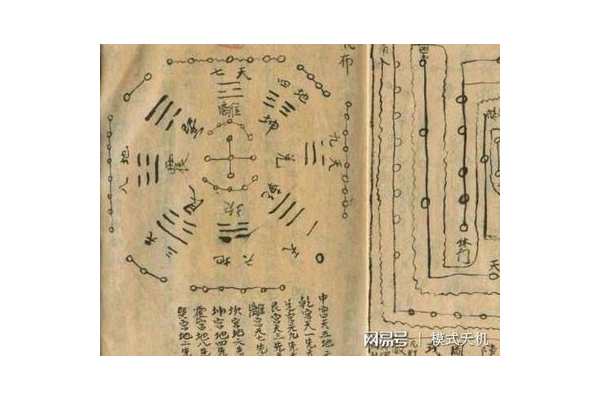 奇门遁甲抢树根什么意思