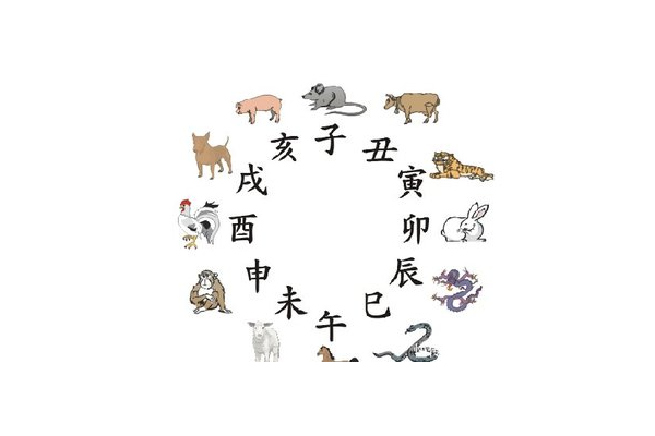 奇门遁甲甲代表什么动物