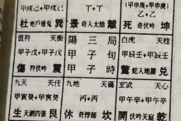 奇门遁甲什么代表病毒