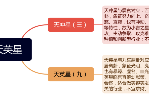 奇门遁甲九星象征什么