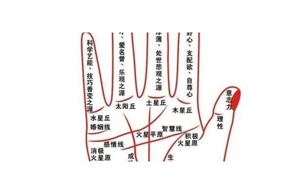 奇门遁甲择日入门基础
